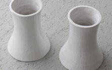 LaureTixier_OrnementalPlants