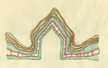 LaureTixier_UnitesStratigraphiques-ID